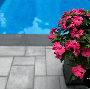 Instagram image post thumbnail showing a closeup of grey paver stone patio around an in-ground pool with a planter full of pink flowers in front of it.