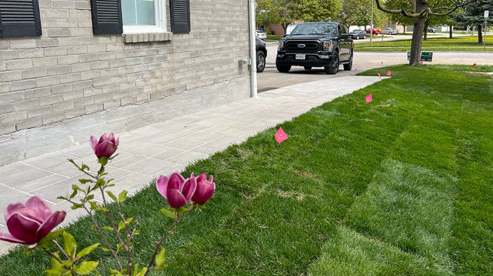 Bright green freshly laid sod along the side a residential property