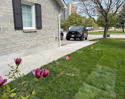Property with bright green freshly laid sod along the side of a house, exemplifying sod work