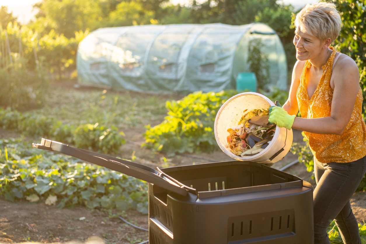 Woman adding kitchen scraps to a backyard compost bin in a landscaped vegetable garden.