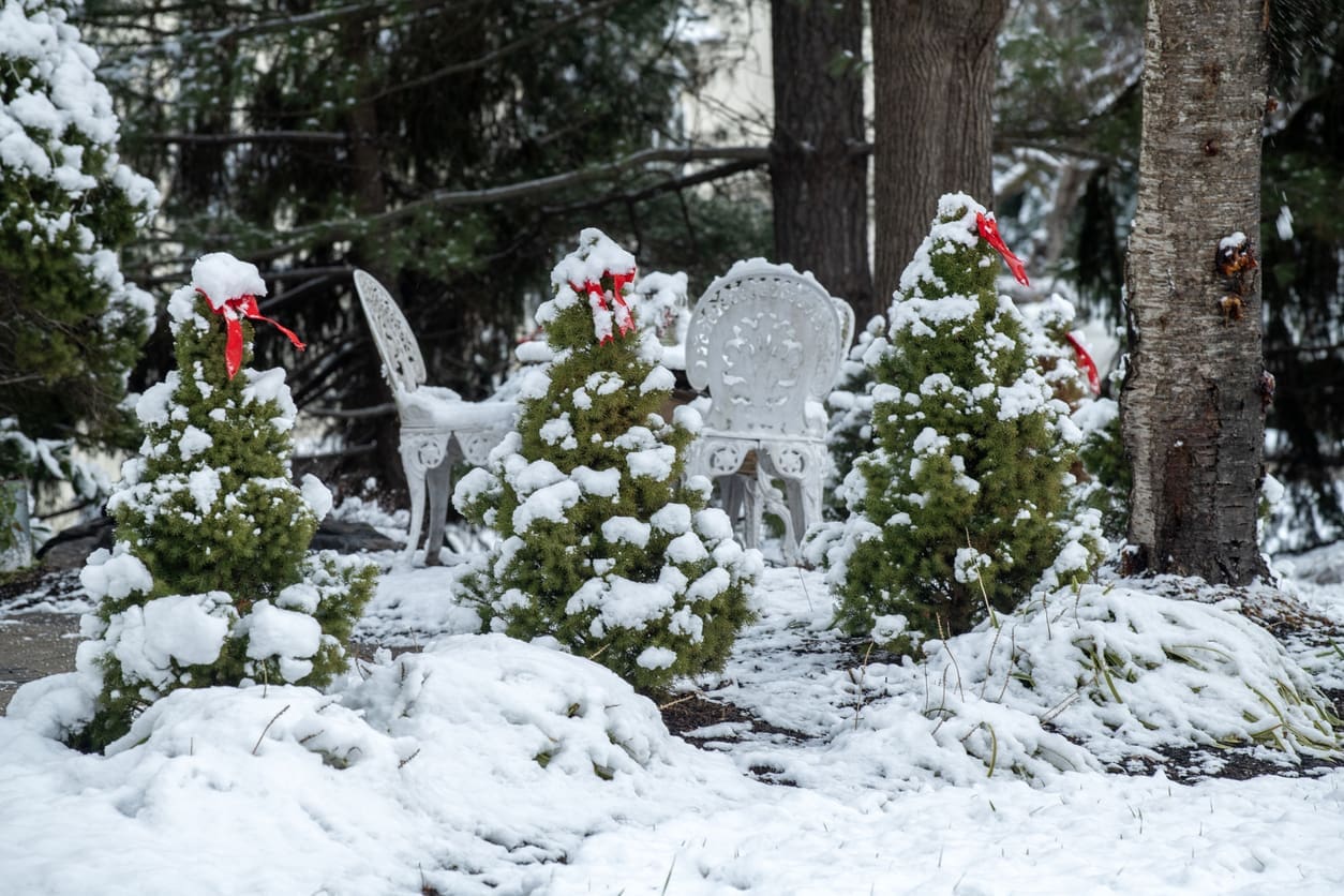 Modern backyard patio with interlocking stone, plunge pool, lounge chairs and string lights, ideal for summer entertaining and outdoor living.
