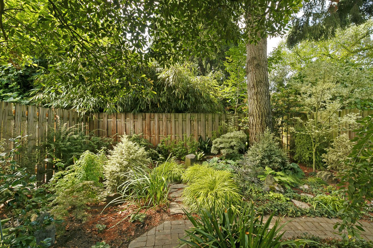 A peaceful backyard garden with a winding interlock walkway is surrounded by ferns, shrubs and trees under a canopy of leaves.