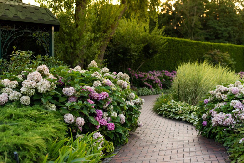 Curved brick interlocking walkway lined with lush greenery and blooming hydrangeas in shades of purple and white, leading through a landscaped garden with a wooden gazebo on the left.