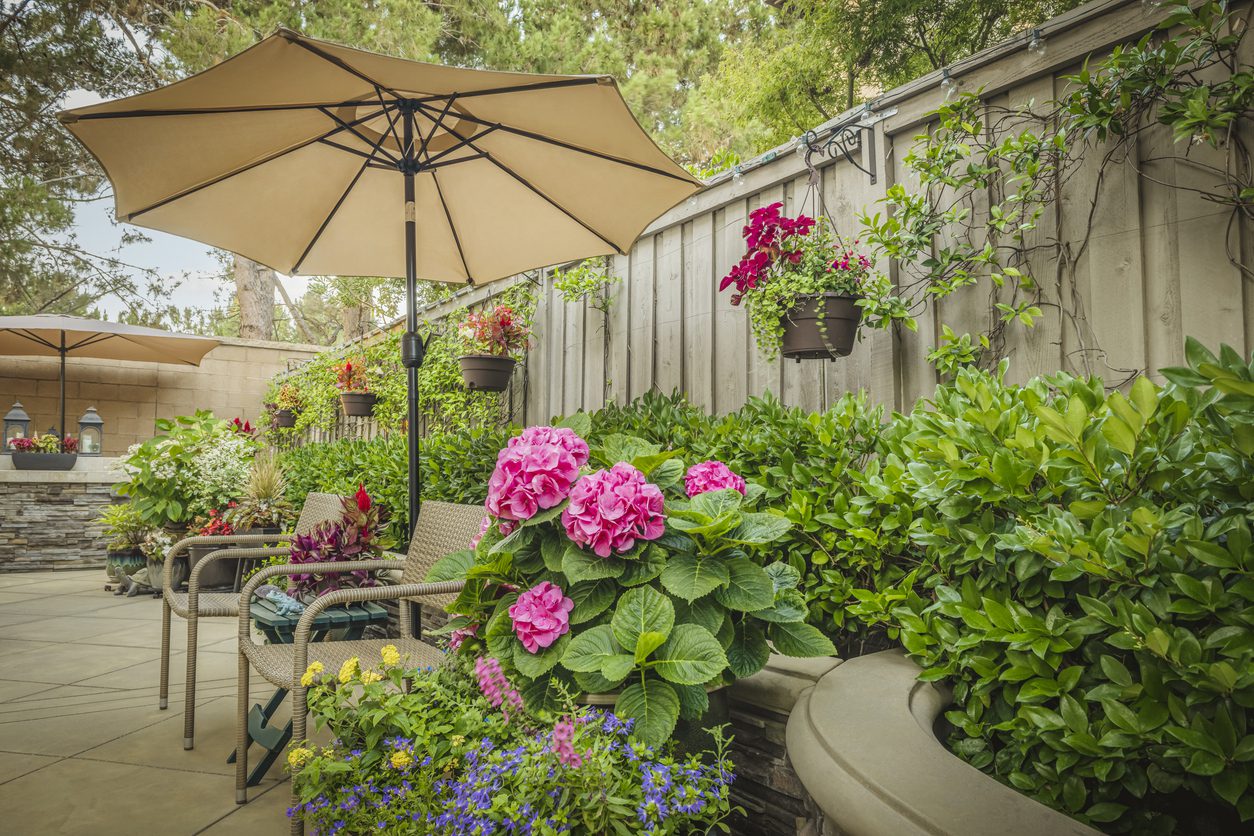 A modern patio features interlocking pavers, wicker chairs, pink hydrangeas and hanging planters under large beige umbrellas.