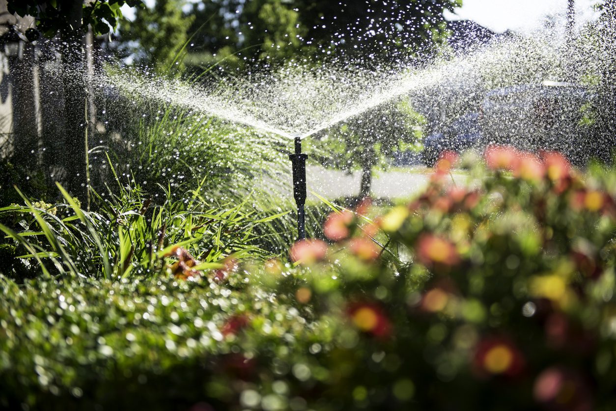A homeowner spreads black mulch in a well-maintained garden bed in front of a brick house during spring landscaping.