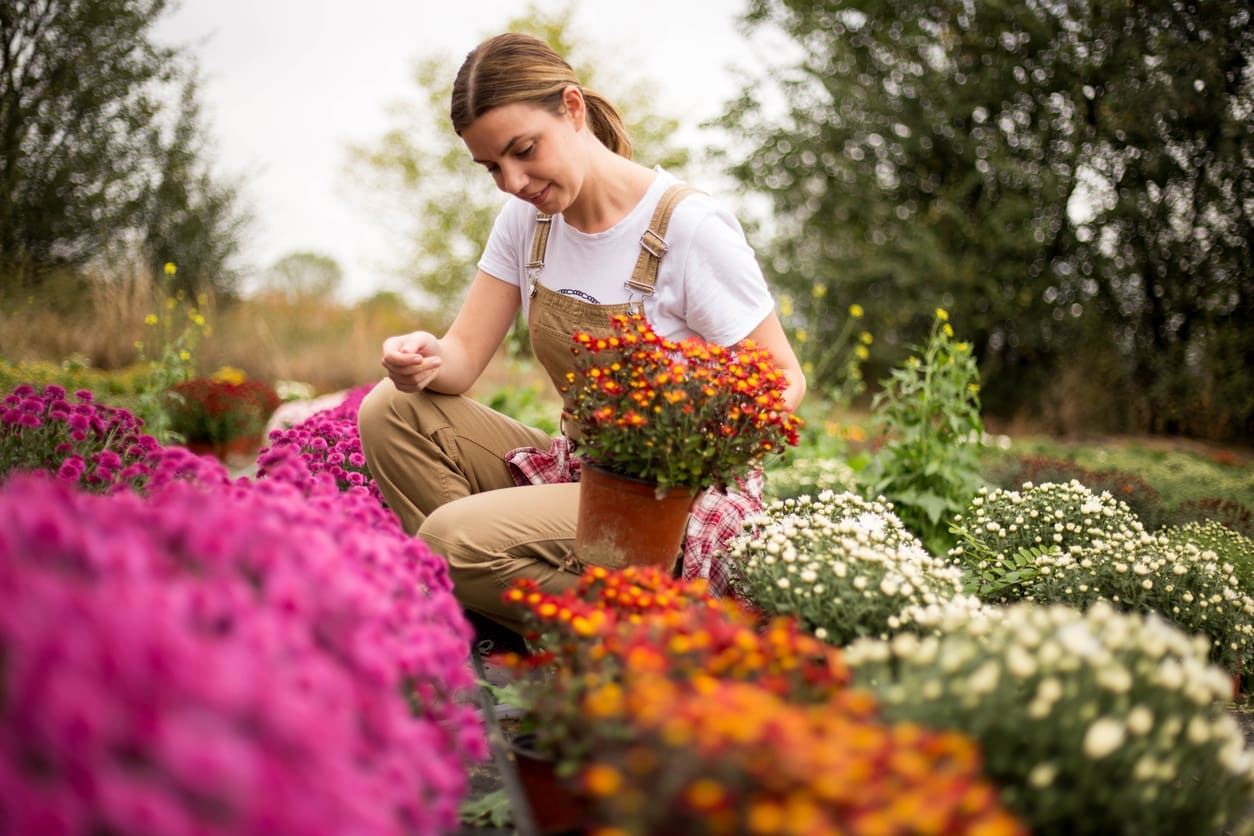 Cozy fall landscaping ideas with seasonal flowers, pumpkins and outdoor seating.